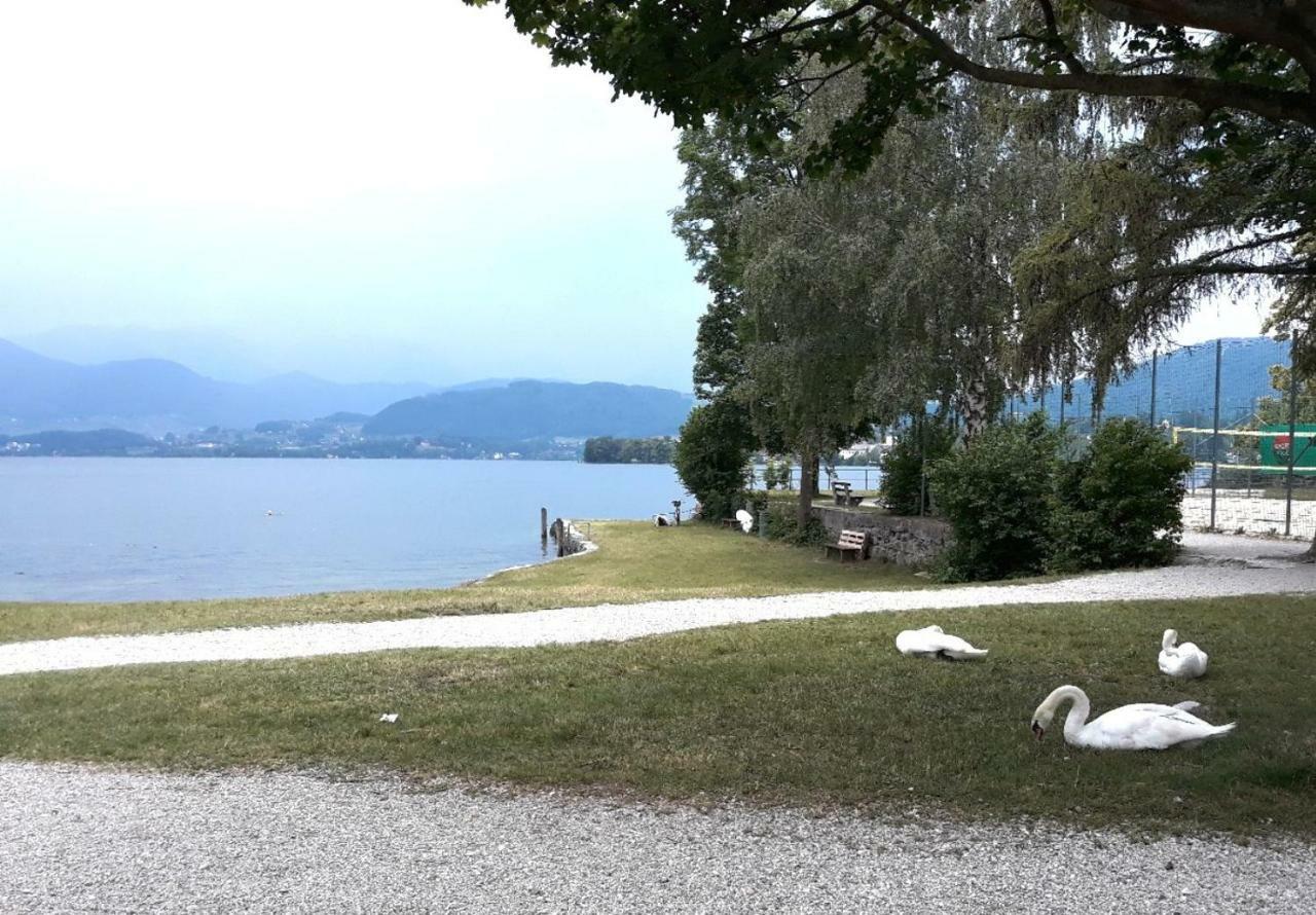 Seeblick Apartment/Zimmer Gmunden Dış mekan fotoğraf